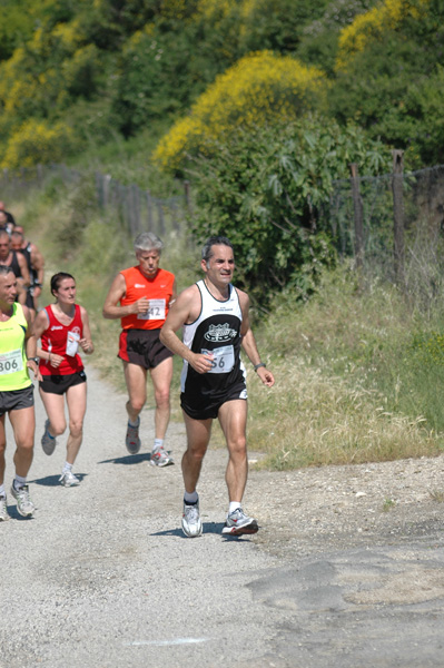 Maratonina di Villa Adriana (23/05/2010) dominici_va_2415