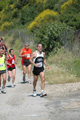 dominici_va_2415