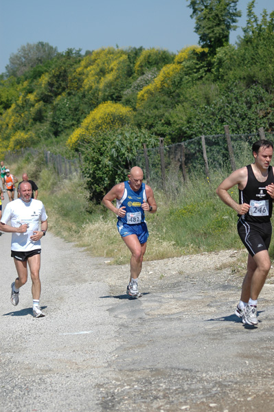 Maratonina di Villa Adriana (23/05/2010) dominici_va_2427