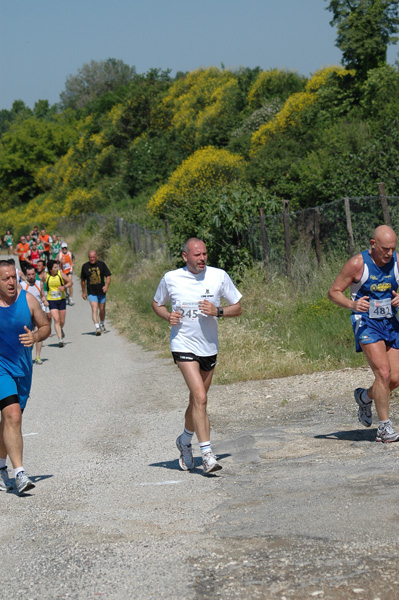 Maratonina di Villa Adriana (23/05/2010) dominici_va_2428
