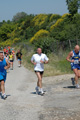 dominici_va_2428