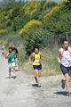 dominici_va_2430