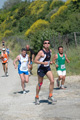 dominici_va_2432