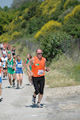 dominici_va_2435