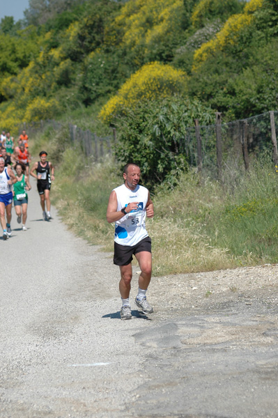 Maratonina di Villa Adriana (23/05/2010) dominici_va_2438