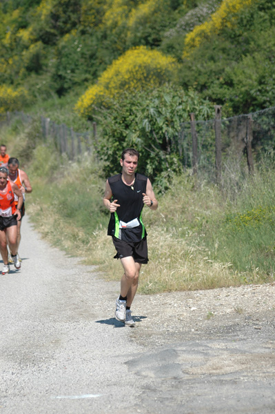 Maratonina di Villa Adriana (23/05/2010) dominici_va_2443