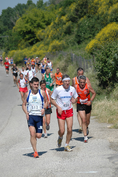 Maratonina di Villa Adriana (23/05/2010) dominici_va_2444