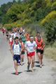 dominici_va_2444