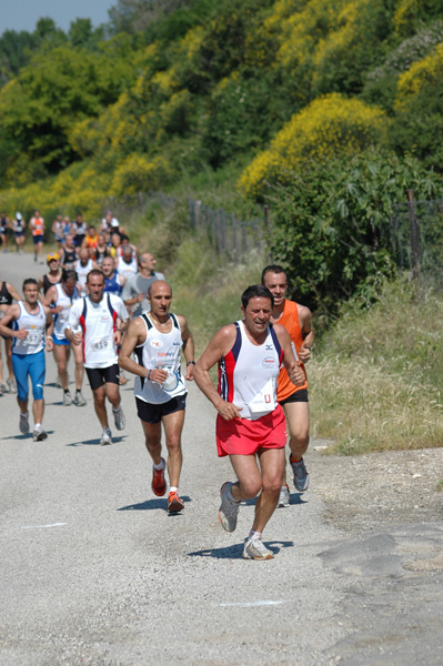 Maratonina di Villa Adriana (23/05/2010) dominici_va_2448