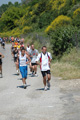 dominici_va_2449
