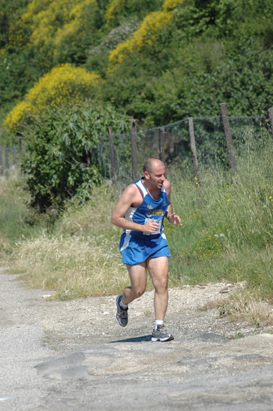 Maratonina di Villa Adriana (23/05/2010) dominici_va_2457