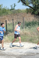 dominici_va_2497