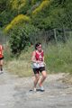 dominici_va_2501
