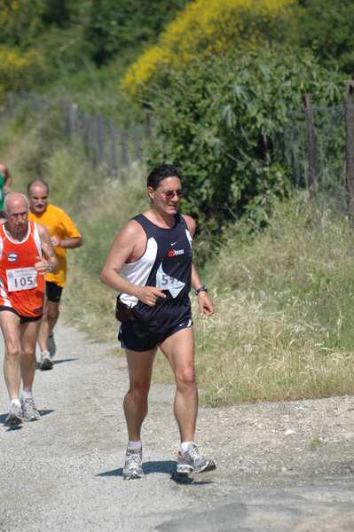 Maratonina di Villa Adriana (23/05/2010) dominici_va_2512