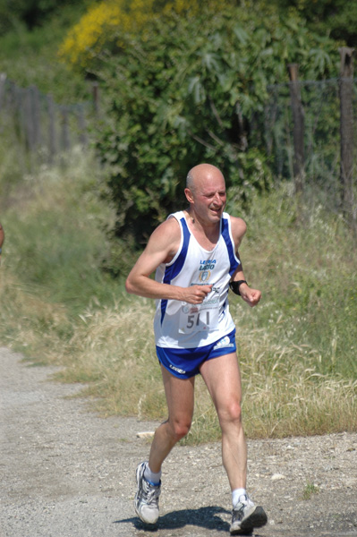 Maratonina di Villa Adriana (23/05/2010) dominici_va_2526