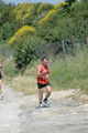 dominici_va_2534