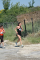 dominici_va_2535