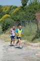 dominici_va_2538
