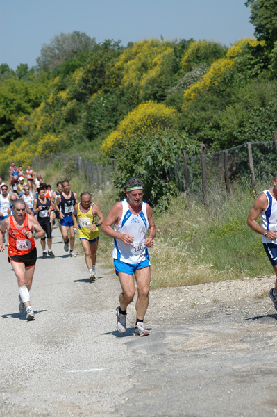 Maratonina di Villa Adriana (23/05/2010) dominici_va_2539