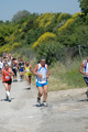 dominici_va_2539