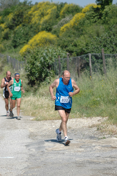 Maratonina di Villa Adriana (23/05/2010) dominici_va_2557