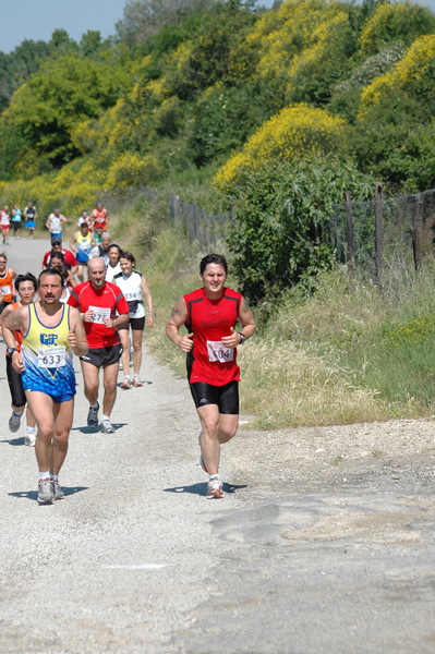 Maratonina di Villa Adriana (23/05/2010) dominici_va_2587