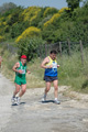 dominici_va_2592