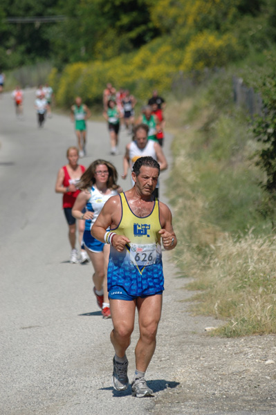 Maratonina di Villa Adriana (23/05/2010) dominici_va_2611