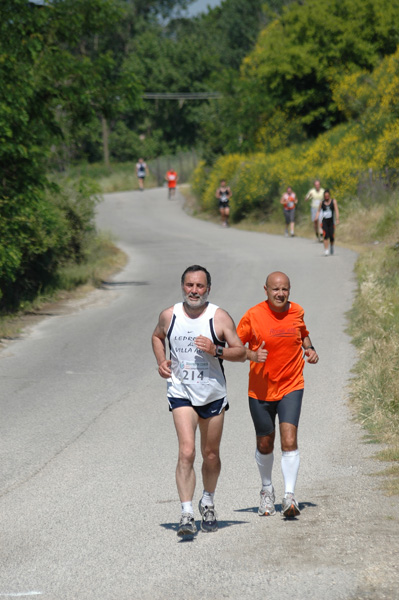 Maratonina di Villa Adriana (23/05/2010) dominici_va_2636