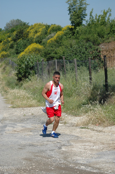 Maratonina di Villa Adriana (23/05/2010) dominici_va_2660