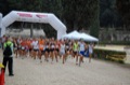 maratonastaffetta10_028