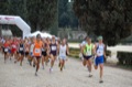 maratonastaffetta10_031
