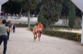 maratonastaffetta10_104