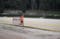 maratonastaffetta10_182