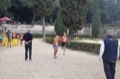 maratonastaffetta10_305
