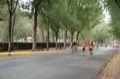 maratonastaffetta10_328