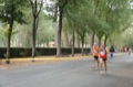 maratonastaffetta10_330
