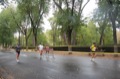 maratonastaffetta10_344