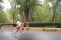maratonastaffetta10_346