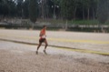 maratonastaffetta10_476