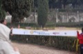 maratonastaffetta10_484