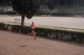 maratonastaffetta10_528