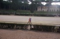 maratonastaffetta10_533