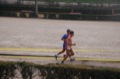 maratonastaffetta10_534
