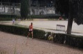 maratonastaffetta10_549