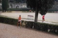 maratonastaffetta10_550