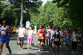 ferraresi_cup_0319