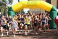 bernardini_7135