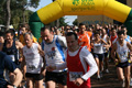bernardini_7142