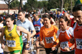 bernardini_7146